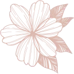 Shape12