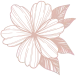 Shape50