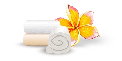 Shape1