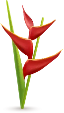 Shape3